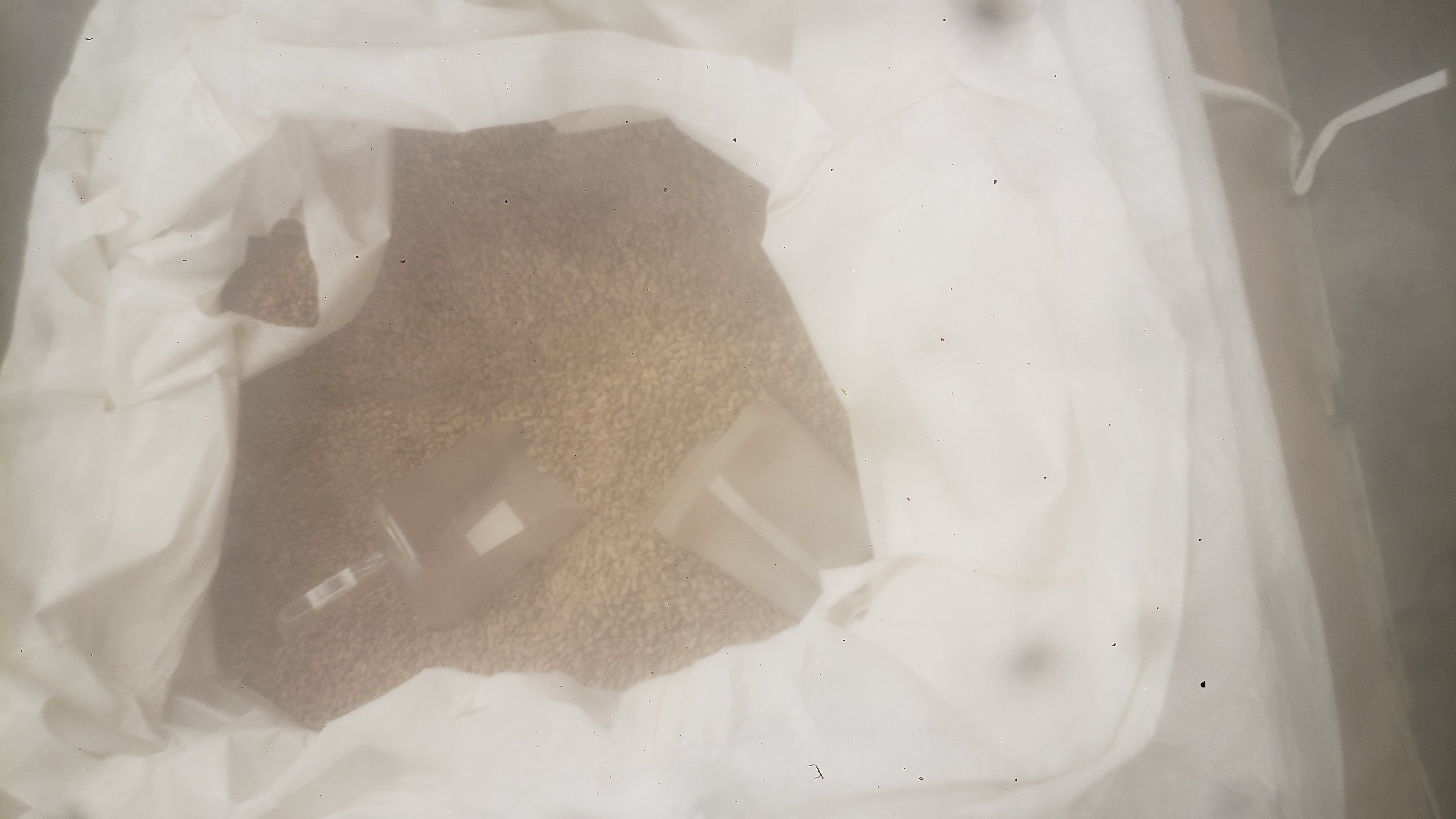 Bulk bag of pinto bags.